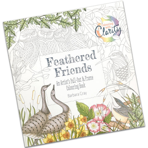 Feathered Friends Colouring Book
