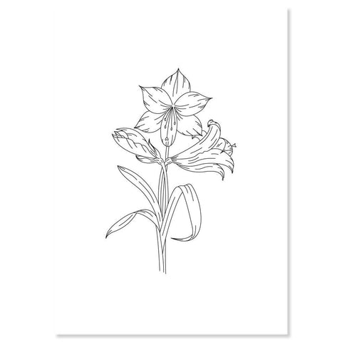 Amaryllis - A5 Printed Florals Parchment