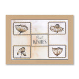 Statement Sentiment Frames A5sq Stamp Set