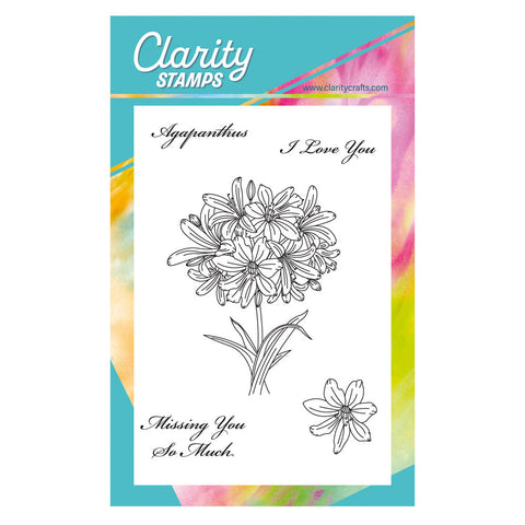 Linda's Agapanthus A6 Stamp & Mask Set