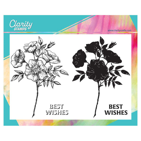 Dog Rose Posy A5 Stamp Set