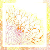 Chrysanthemum Stencil 7" x 7"
