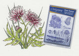 Jayne Nestorenko Floral Collection - Dahlias Unmounted A5 Stamp Set