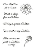 Barbara's SHAC Floral Panels Dahlia Verses A7 Stamp Set